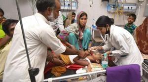 The AES killed over 150 children in Bihar last year.(PTI file photo) The AES killed over 150 children in Bihar last year.(PTI file photo)