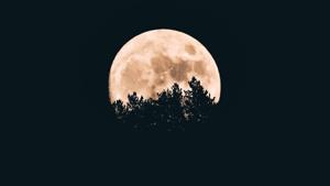 Lunar Eclipse on January 10: Here’s when and where to watch the eclipse.(Unsplash) Lunar Eclipse on January 10: Here’s when and where to watch the eclipse.(Unsplash)
