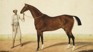 HORSE AND GROOM HORSE AND GROOM