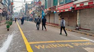 The East Delhi Municipal Corporation experts have suggested planting a specific shrub — nerium oleander — that cows and goats avoid.(HT Photo) The East Delhi Municipal Corporation experts have suggested planting a specific shrub — nerium oleander — that cows and goats avoid.(HT Photo)
