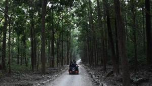 Organised by travel company The Experience Co, the second edition of “F of X” that opens on February 20 at the Jim Corbett National Park.(Unsplash) Organised by travel company The Experience Co, the second edition of “F of X” that opens on February 20 at the Jim Corbett National Park.(Unsplash)