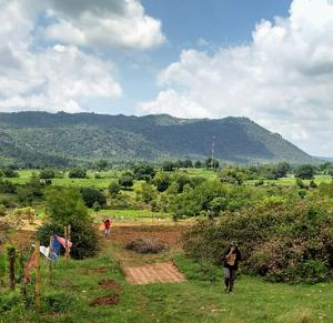 At Beforest, 30-40 buyers own a share of a large plot, pooling in costs and minimising risks. At Beforest, 30-40 buyers own a share of a large plot, pooling in costs and minimising risks.