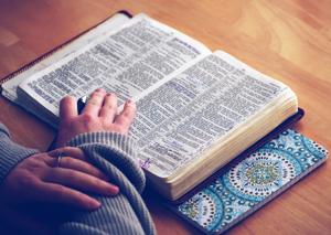This edition has 26 new Indian English words of which 22 figure in the printed dictionary.(Unsplash) This edition has 26 new Indian English words of which 22 figure in the printed dictionary.(Unsplash)