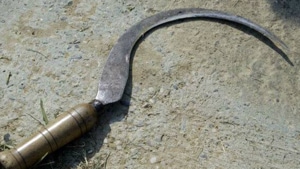 As shell-shocked public ran helter skelter, the assailants wielding machetes and long sickles fled the scene leaving Vijayaraghu in a pool of blood. (Representative image) As shell-shocked public ran helter skelter, the assailants wielding machetes and long sickles fled the scene leaving Vijayaraghu in a pool of blood. (Representative image)