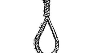Delhi Court explained the legal rationale for staying the execution in its detailed order on Friday(Representative Photo) Delhi Court explained the legal rationale for staying the execution in its detailed order on Friday(Representative Photo)