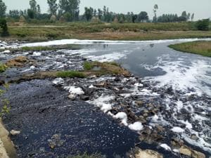 Yamuna river criss-crosses Yamunanagar, Karnal, Panipat, Sonepat, Faridabad and Palwal districts, which have a number of polluting industries, state before entering Delhi.(HT FILS)