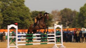 Representational image of equestrian sport(Photo by Parveen Kumar/Hindustan Times) Representational image of equestrian sport(Photo by Parveen Kumar/Hindustan Times)
