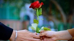 Happy Rose Day 2020: The significance behind gifting rose on this day is that this flower signifies the bond of love.(Unsplash) Happy Rose Day 2020: The significance behind gifting rose on this day is that this flower signifies the bond of love.(Unsplash)