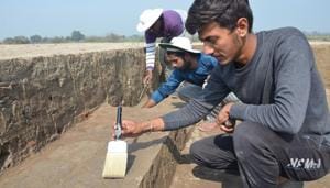 Scholars during the excavation process at Tigrana village.(HT Photo) Scholars during the excavation process at Tigrana village.(HT Photo)