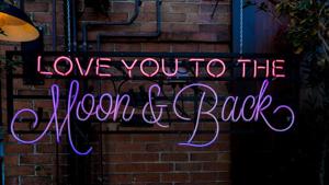 On Valentine’s Day 2020, lovebirds in Patna may exchange “pyaar ka paudha”.(Unsplash) On Valentine’s Day 2020, lovebirds in Patna may exchange “pyaar ka paudha”.(Unsplash)