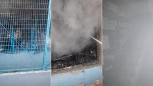 Fire breaks out at a factory in Delhi’s Mundka, 17 fire engines at spot, reports ANI(HT Photo) Fire breaks out at a factory in Delhi’s Mundka, 17 fire engines at spot, reports ANI(HT Photo)