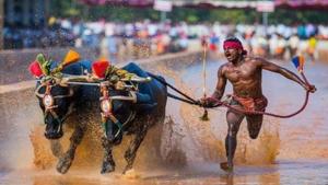 Srinivasa Gowda.(Twitter) Srinivasa Gowda.(Twitter)