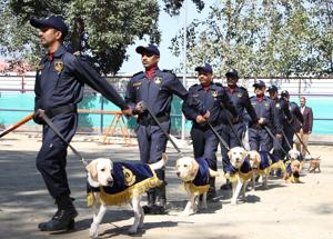 Trainers at canine training centre at Attari border in Amritsar(Sameer Sehgal/HT) Trainers at canine training centre at Attari border in Amritsar(Sameer Sehgal/HT)