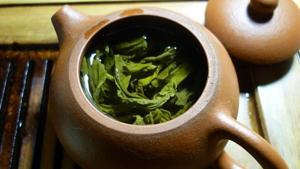 They have found that a combination of green tea extract and exercise reduced the severity of the obesity-related disease by 75 per cent in mice fed a high-fat diet.(UNSPLASH) They have found that a combination of green tea extract and exercise reduced the severity of the obesity-related disease by 75 per cent in mice fed a high-fat diet.(UNSPLASH)