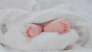 The researchers found an association between early exposure to cleaning products and risk of asthma and wheeze.(Unsplash) The researchers found an association between early exposure to cleaning products and risk of asthma and wheeze.(Unsplash)