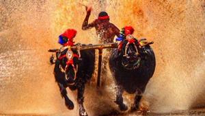 Representational Image.(Twitter) Representational Image.(Twitter)