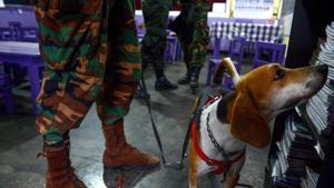 No explosive was found at the school in search by the bomb disposal squad.(AFP Photo/Representative) No explosive was found at the school in search by the bomb disposal squad.(AFP Photo/Representative)
