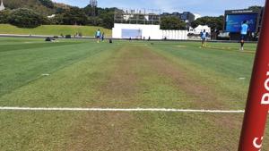 Wellington pitch(BCCI Twitter) Wellington pitch(BCCI Twitter)