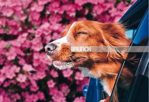 Tell the people you love that you love them when they are still around to appreciate the sentiment(Photo imaging: Parth Garg) Tell the people you love that you love them when they are still around to appreciate the sentiment(Photo imaging: Parth Garg)