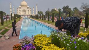 Flower pots being arranged at the Taj Mahal ahead of US President Donald Trump’s maiden visit . He will be given a symbolic key to enter the city at the airport.(PTI Photo)