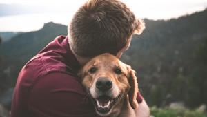 With a list of more than ten health benefits of owning a pet, a professor having studied human-animal connection has revealed a scientifically proven fact that pet owners “are more likely to be lonely, depressed, and have panic attacks.(UNSPLASJ) With a list of more than ten health benefits of owning a pet, a professor having studied human-animal connection has revealed a scientifically proven fact that pet owners “are more likely to be lonely, depressed, and have panic attacks.(UNSPLASJ)