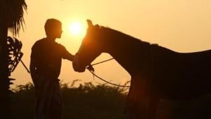 Dhanush shared a picture from the shoot of Karnan as well. Dhanush shared a picture from the shoot of Karnan as well.