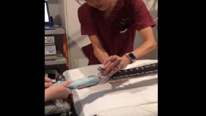 A python, Monty, was taken to an animal hospital after it managed to swallow a beach towel whole.(Facebook/ SASH) A python, Monty, was taken to an animal hospital after it managed to swallow a beach towel whole.(Facebook/ SASH)