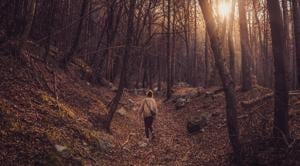 The study is a part of a larger examination of nature therapy.(Unsplash) The study is a part of a larger examination of nature therapy.(Unsplash)