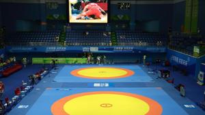 File photo of wrestling.(File) File photo of wrestling.(File)