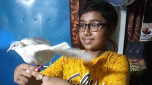 The boy appeared for all the papers while sitting on the hospital bed.(Sourced) The boy appeared for all the papers while sitting on the hospital bed.(Sourced)