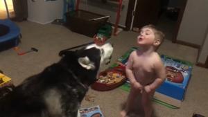 Facebook user Alixandria Smith watched this incredible howl-off between her son and dog, and couldn’t help record the moment.(Facebook/Alixandria Smith) Facebook user Alixandria Smith watched this incredible howl-off between her son and dog, and couldn’t help record the moment.(Facebook/Alixandria Smith)