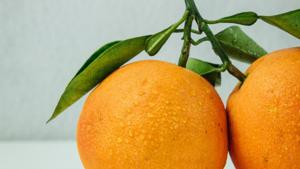 Oranges could help reduce obesity and risk of heart disease.(Unsplash) Oranges could help reduce obesity and risk of heart disease.(Unsplash)