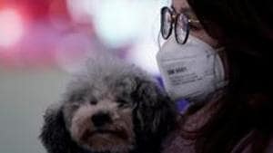 In general, pet owners should maintain good hygiene, including washing hands before and after handling animals, their food and supplies and no kissing them.(REUTERS (Image for representation purpose)) In general, pet owners should maintain good hygiene, including washing hands before and after handling animals, their food and supplies and no kissing them.(REUTERS (Image for representation purpose))