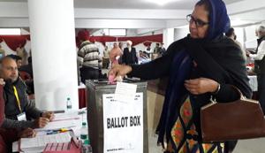 A voter casting her ballot during the elections for the president of the NRI Sabha in Jalandhar on Saturday afternoon.(Pardeep Pandit/HT) A voter casting her ballot during the elections for the president of the NRI Sabha in Jalandhar on Saturday afternoon.(Pardeep Pandit/HT)