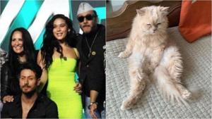 The Shroff family will miss their cat JD. The Shroff family will miss their cat JD.
