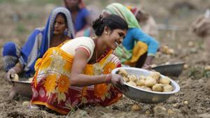 Casual workers are going to be among the worst affected in case of an economic slowdown resulting from the Covid-19 outbreak.(AP) Casual workers are going to be among the worst affected in case of an economic slowdown resulting from the Covid-19 outbreak.(AP)