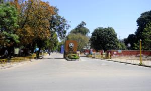 PGI officials say more people are being trained as workload of the virology lab is expected to increase in the coming days.(Anil Dayal/HT) PGI officials say more people are being trained as workload of the virology lab is expected to increase in the coming days.(Anil Dayal/HT)