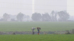 The farm-to-fork supply chain has been disrupted by the coronavirus lockdown.(Sunil Ghosh / Hindustan Times) The farm-to-fork supply chain has been disrupted by the coronavirus lockdown.(Sunil Ghosh / Hindustan Times)