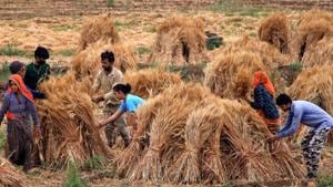Loans which have a ceiling of Rs 3 lakh will come under this extended repayment period. The government subsidises short-term crop loans to make farming cheaper.(PTI PHOTO.) Loans which have a ceiling of Rs 3 lakh will come under this extended repayment period. The government subsidises short-term crop loans to make farming cheaper.(PTI PHOTO.)