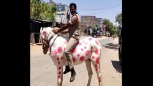 Sub-Inspector Maruti Sankar was seen riding a horse with unusual spots.(ANI) Sub-Inspector Maruti Sankar was seen riding a horse with unusual spots.(ANI)