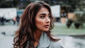 Pooja Hegde has not signed her next Tamil film yet. Pooja Hegde has not signed her next Tamil film yet.