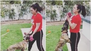 Preity Zinta is in self quarantine with her mother and her husband. Preity Zinta is in self quarantine with her mother and her husband.