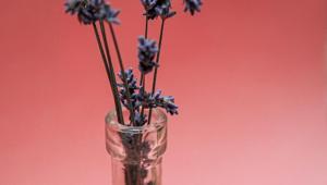 Scents and sensibility: DIY fragrances for your home.(Unsplash)