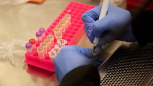 Researchers at the Microbiology Research Facility work with coronavirus samples as a trial begins to see whether malaria treatment hydroxychloroquine can prevent or reduce the severity of the coronavirus disease at the University of Minnesota in Minneapolis, Minnesota, US.(Reuters File Photo) Researchers at the Microbiology Research Facility work with coronavirus samples as a trial begins to see whether malaria treatment hydroxychloroquine can prevent or reduce the severity of the coronavirus disease at the University of Minnesota in Minneapolis, Minnesota, US.(Reuters File Photo)