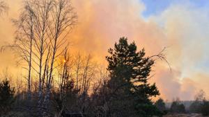 A forest fire burning at a 30-kilometer (19-mile) Chernobyl exclusion zone, not far from the nuclear power plant. A forest fire burning at a 30-kilometer (19-mile) Chernobyl exclusion zone, not far from the nuclear power plant.