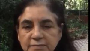 Gandhi posted several tweets to say there was no scientific evidence to suggest cats could get or transfer coronavirus(Courtesy:Twitter/@Manekagandhibjp) Gandhi posted several tweets to say there was no scientific evidence to suggest cats could get or transfer coronavirus(Courtesy:Twitter/@Manekagandhibjp)