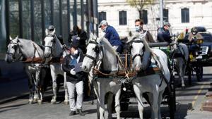 Fiaker horse carriages wait for food packages for delivery in Vienna, Austria.(REUTERS) Fiaker horse carriages wait for food packages for delivery in Vienna, Austria.(REUTERS)