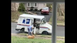 The clip shows the doggo eagerly awaiting the arrival of the mailman.(mac_is_crack//official Reddit) The clip shows the doggo eagerly awaiting the arrival of the mailman.(mac_is_crack//official Reddit)