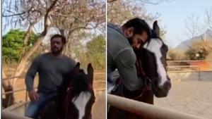 Salman Khan shared a video with his horse in his farmhouse. Salman Khan shared a video with his horse in his farmhouse.