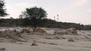 These successive incidents ring a warning bell for Singrauli, said experts.(Sourced) These successive incidents ring a warning bell for Singrauli, said experts.(Sourced)